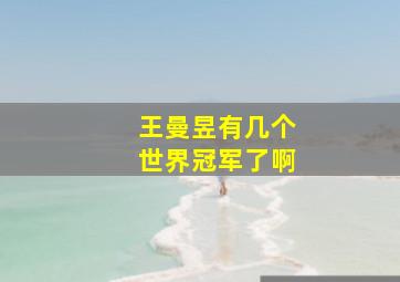 王曼昱有几个世界冠军了啊