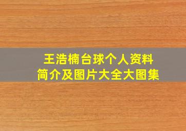 王浩楠台球个人资料简介及图片大全大图集