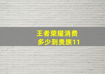 王者荣耀消费多少到贵族11