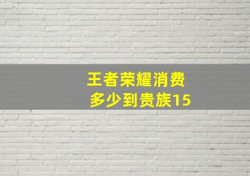 王者荣耀消费多少到贵族15