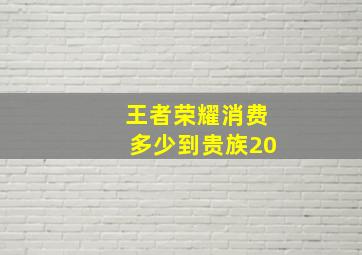 王者荣耀消费多少到贵族20