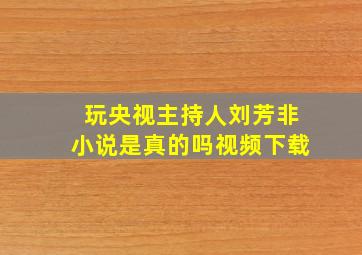 玩央视主持人刘芳非小说是真的吗视频下载