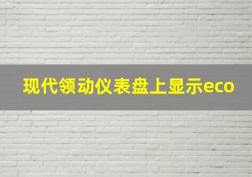 现代领动仪表盘上显示eco