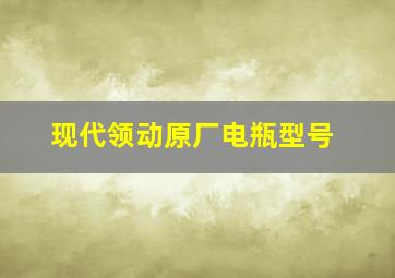 现代领动原厂电瓶型号