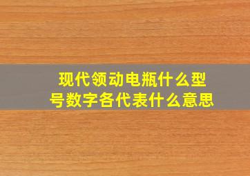 现代领动电瓶什么型号数字各代表什么意思