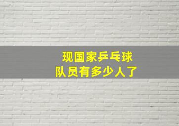 现国家乒乓球队员有多少人了