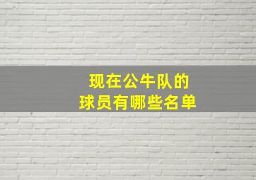 现在公牛队的球员有哪些名单