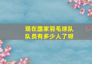 现在国家羽毛球队队员有多少人了呀