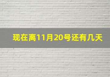 现在离11月20号还有几天