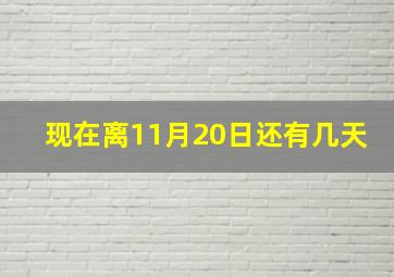 现在离11月20日还有几天