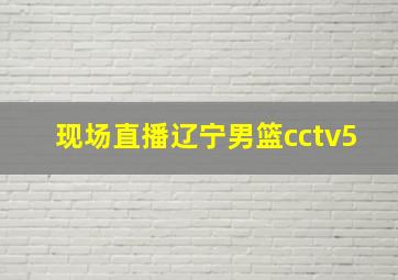 现场直播辽宁男篮cctv5