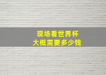 现场看世界杯大概需要多少钱