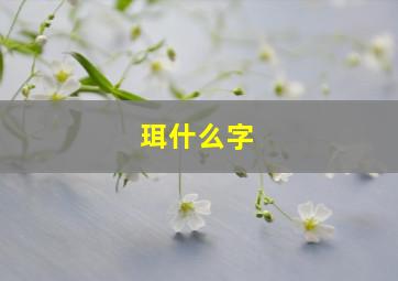 珥什么字