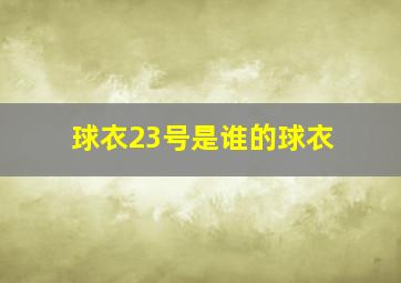 球衣23号是谁的球衣