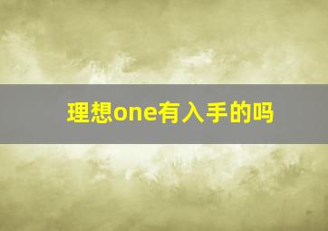 理想one有入手的吗