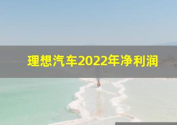 理想汽车2022年净利润