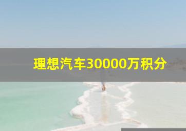 理想汽车30000万积分