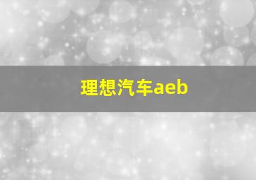 理想汽车aeb