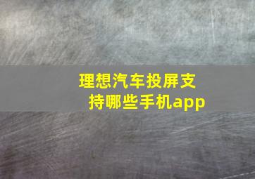 理想汽车投屏支持哪些手机app