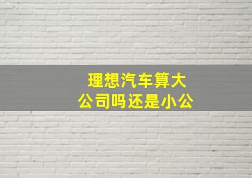 理想汽车算大公司吗还是小公