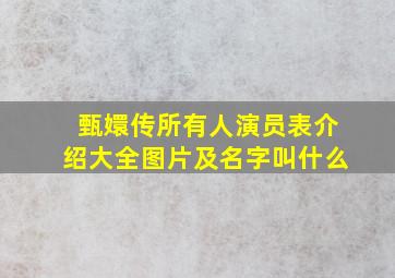 甄嬛传所有人演员表介绍大全图片及名字叫什么