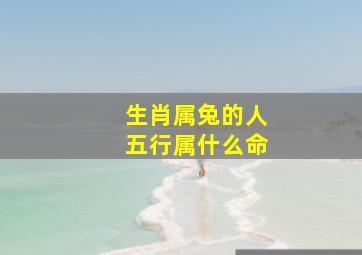 生肖属兔的人五行属什么命