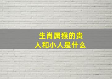 生肖属猴的贵人和小人是什么