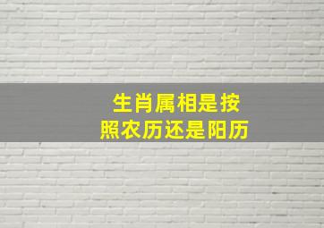 生肖属相是按照农历还是阳历