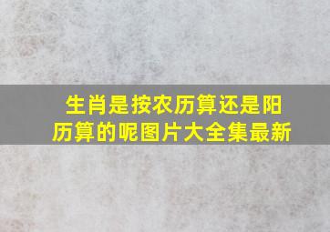 生肖是按农历算还是阳历算的呢图片大全集最新