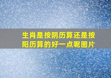 生肖是按阴历算还是按阳历算的好一点呢图片