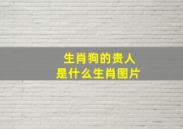 生肖狗的贵人是什么生肖图片