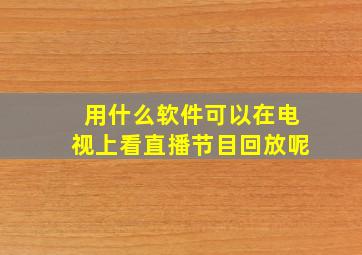 用什么软件可以在电视上看直播节目回放呢