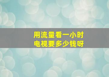 用流量看一小时电视要多少钱呀