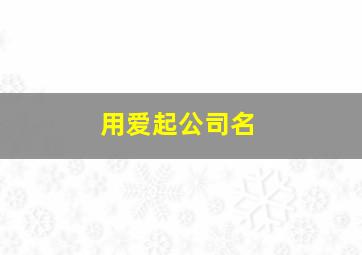 用爱起公司名