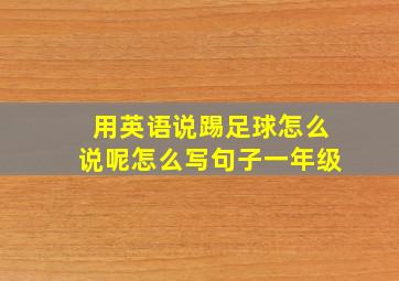 用英语说踢足球怎么说呢怎么写句子一年级