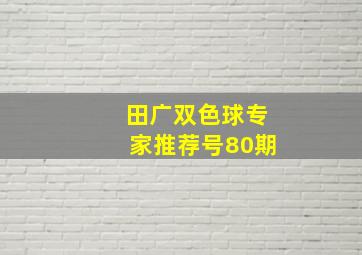 田广双色球专家推荐号80期