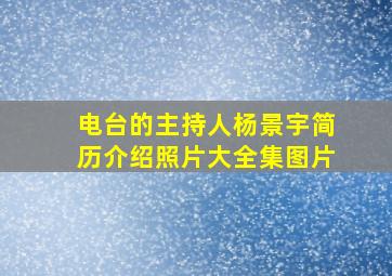 电台的主持人杨景宇简历介绍照片大全集图片