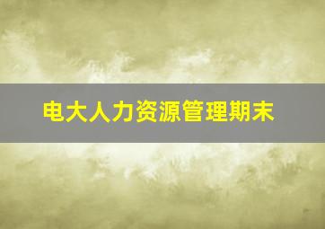 电大人力资源管理期末