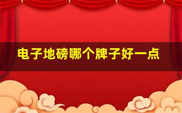 电子地磅哪个牌子好一点