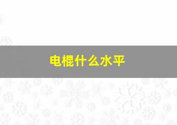 电棍什么水平