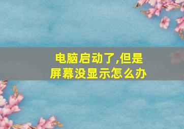 电脑启动了,但是屏幕没显示怎么办