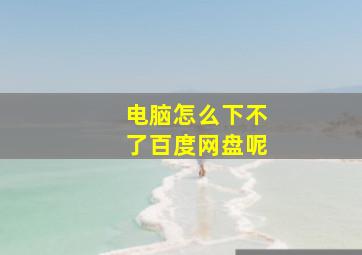 电脑怎么下不了百度网盘呢