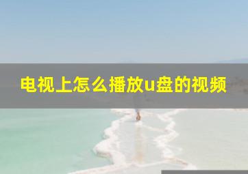 电视上怎么播放u盘的视频