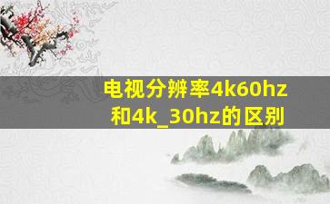 电视分辨率4k60hz和4k_30hz的区别