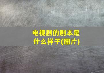 电视剧的剧本是什么样子(图片)