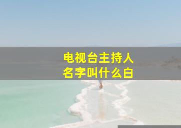 电视台主持人名字叫什么白