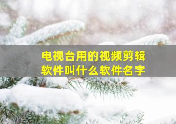 电视台用的视频剪辑软件叫什么软件名字