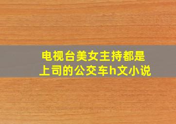 电视台美女主持都是上司的公交车h文小说