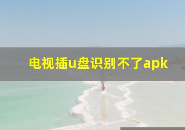 电视插u盘识别不了apk