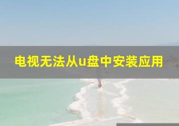 电视无法从u盘中安装应用